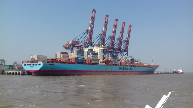 APM Terminals Pipavav financial performance for 2019