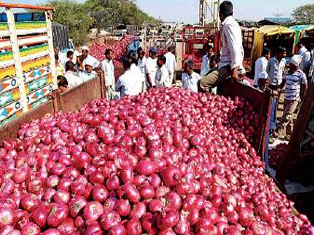 India extends ban on onion exports until further orders - Maritime ...