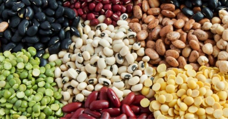 East Africa leads in pulses exports to India - Maritime Gateway - South ...